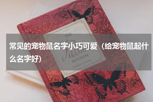 常见的宠物鼠名字小巧可爱(给宠物鼠起什么名字好)