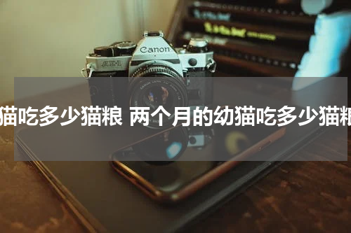 幼猫吃多少猫粮 两个月的幼猫吃多少猫粮