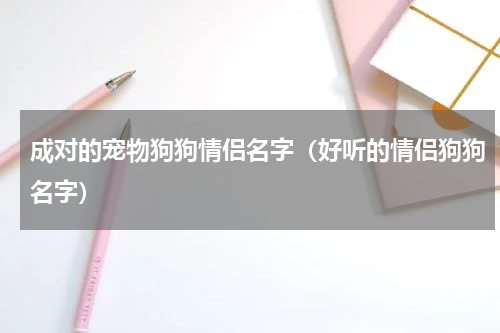 成对的宠物狗狗情侣名字(好听的情侣狗狗名字)
