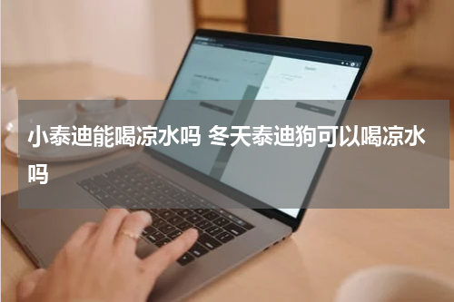 小泰迪能喝凉水吗 冬天泰迪狗可以喝凉水吗