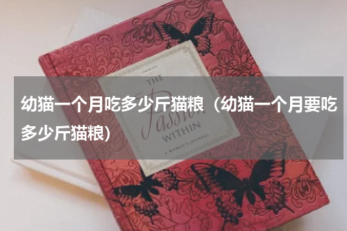 幼猫一个月吃多少斤猫粮(幼猫一个月要吃多少斤猫粮)