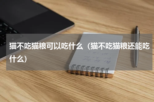 猫不吃猫粮可以吃什么(猫不吃猫粮还能吃什么)