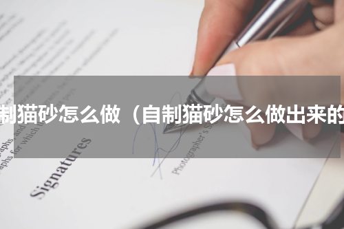 自制猫砂怎么做(自制猫砂怎么做出来的)