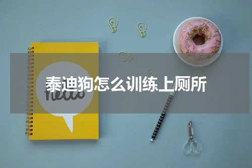 泰迪狗怎么训练上厕所