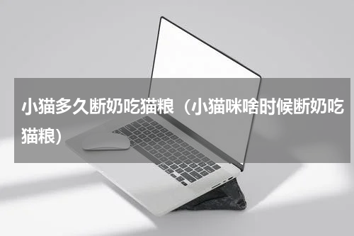 小猫多久断奶吃猫粮(小猫咪啥时候断奶吃猫粮)