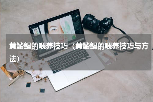 黄鳍鲳的喂养技巧(黄鳍鲳的喂养技巧与方法)