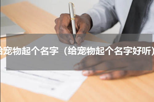 给宠物起个名字(给宠物起个名字好听)