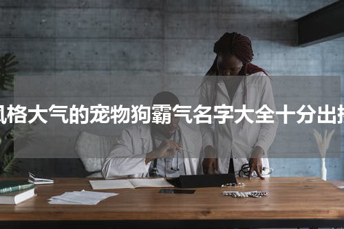 风格大气的宠物狗霸气名字大全十分出挑