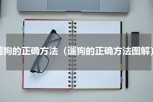 遛狗的正确方法(遛狗的正确方法图解)