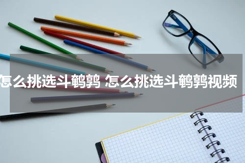 怎么挑选斗鹌鹑 怎么挑选斗鹌鹑视频