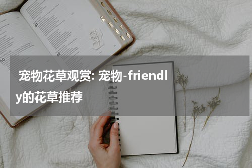 宠物花草观赏: 宠物-friendly的花草推荐