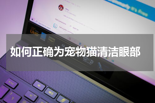 如何正确为宠物猫清洁眼部