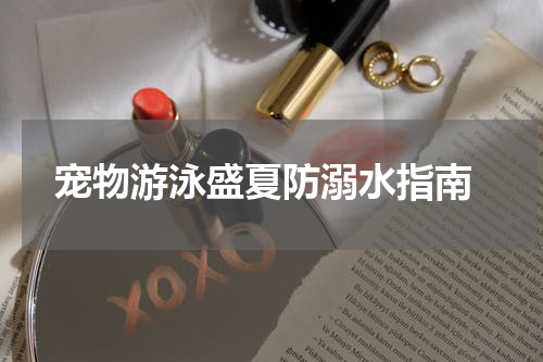 宠物游泳盛夏防溺水指南