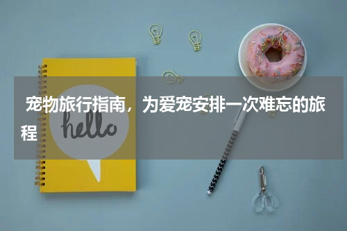  宠物旅行指南，为爱宠安排一次难忘的旅程