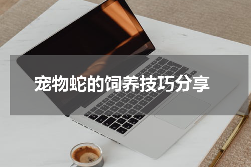 宠物蛇的饲养技巧分享