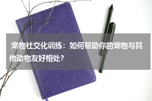 宠物社交化训练:如何帮助你的宠物与其他动物友好相处?