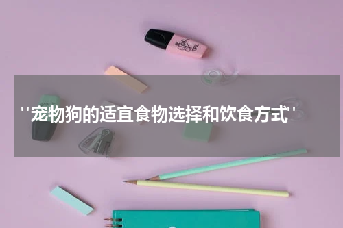 "宠物狗的适宜食物选择和饮食方式"