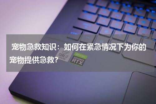 宠物急救知识:如何在紧急情况下为你的宠物提供急救?