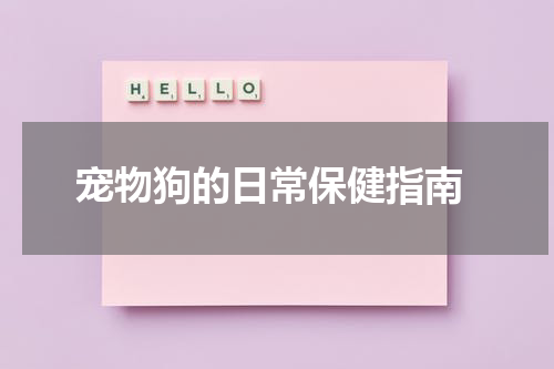 宠物狗的日常保健指南