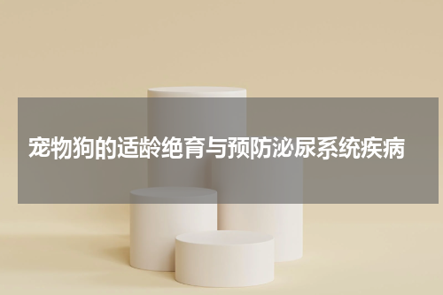 宠物狗的适龄绝育与预防泌尿系统疾病