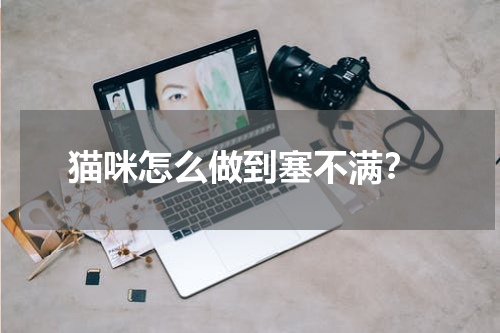 猫咪怎么做到塞不满?