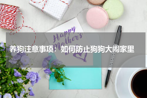 养狗注意事项:如何防止狗狗大闹家里
