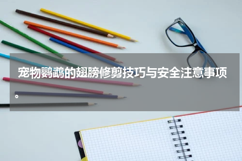 宠物鹦鹉的翅膀修剪技巧与安全注意事项。