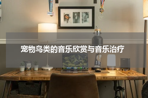 宠物鸟类的音乐欣赏与音乐治疗
