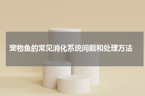 宠物鱼的常见消化系统问题和处理方法