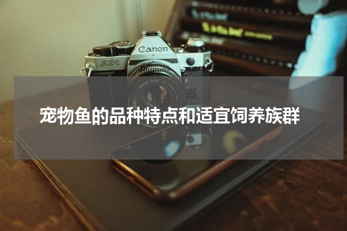 宠物鱼的品种特点和适宜饲养族群