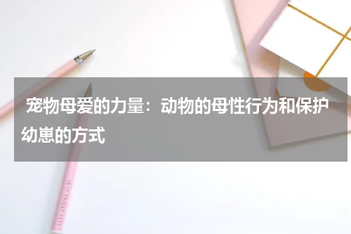  宠物母爱的力量：动物的母性行为和保护幼崽的方式