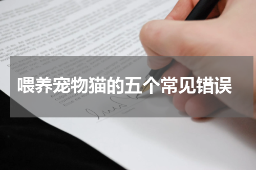 喂养宠物猫的五个常见错误