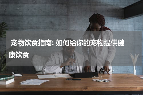 宠物饮食指南: 如何给你的宠物提供健康饮食