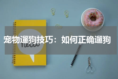 宠物遛狗技巧:如何正确遛狗