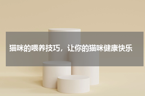  猫咪的喂养技巧，让你的猫咪健康快乐