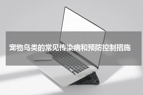 宠物鸟类的常见传染病和预防控制措施