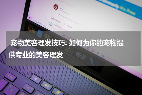 宠物美容理发技巧: 如何为你的宠物提供专业的美容理发