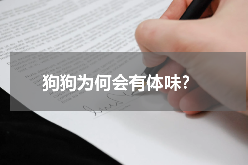 狗狗为何会有体味?