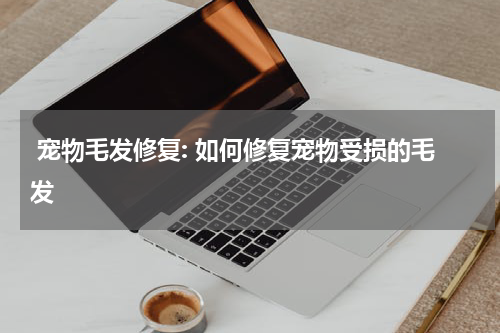 宠物毛发修复: 如何修复宠物受损的毛发