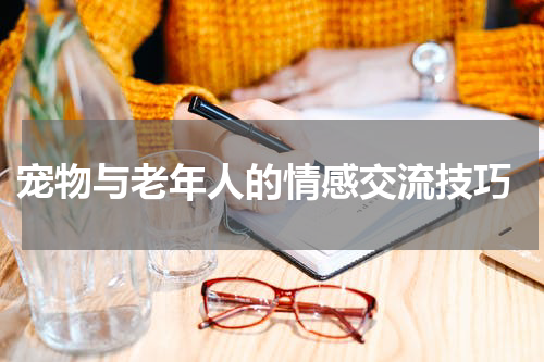 宠物与老年人的情感交流技巧