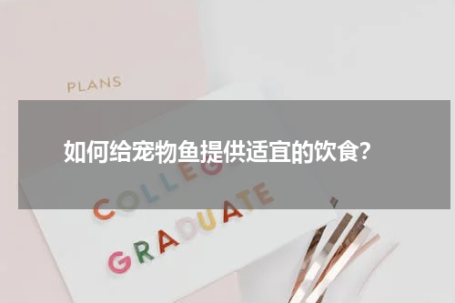 如何给宠物鱼提供适宜的饮食?