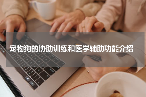 宠物狗的协助训练和医学辅助功能介绍