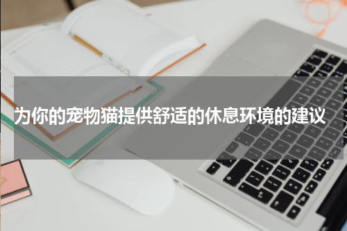 为你的宠物猫提供舒适的休息环境的建议