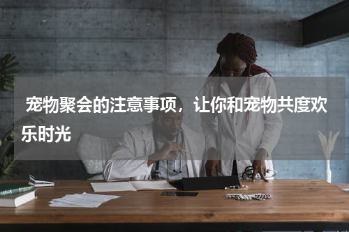  宠物聚会的注意事项，让你和宠物共度欢乐时光