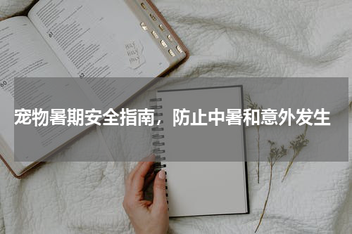  宠物暑期安全指南，防止中暑和意外发生