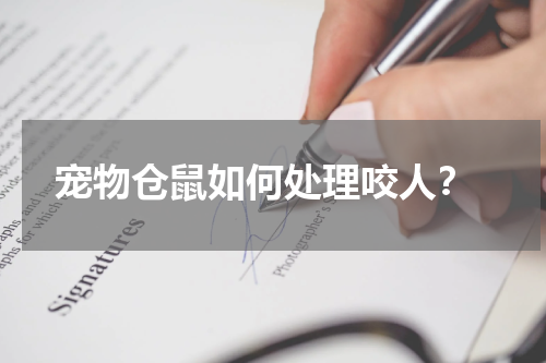 宠物仓鼠如何处理咬人?