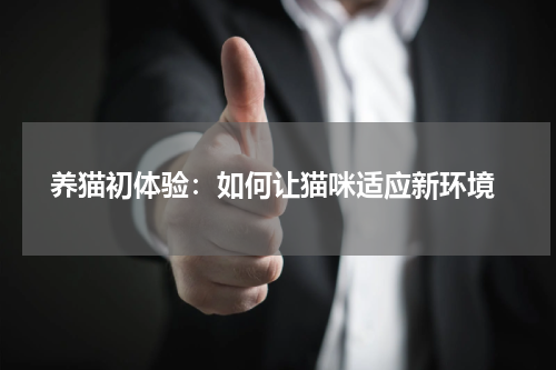 养猫初体验:如何让猫咪适应新环境