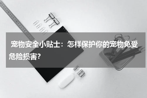 宠物安全小贴士:怎样保护你的宠物免受危险损害?