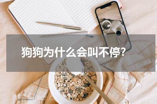 狗狗为什么会叫不停?