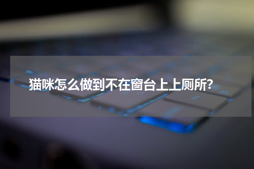 猫咪怎么做到不在窗台上上厕所?
